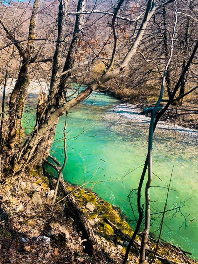 Apartman Cherry Gradac Valjevo Esterno foto