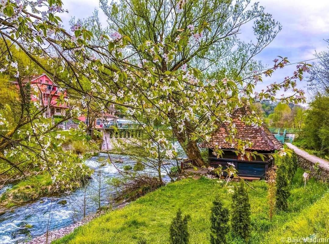 Apartman Cherry Gradac Valjevo Esterno foto